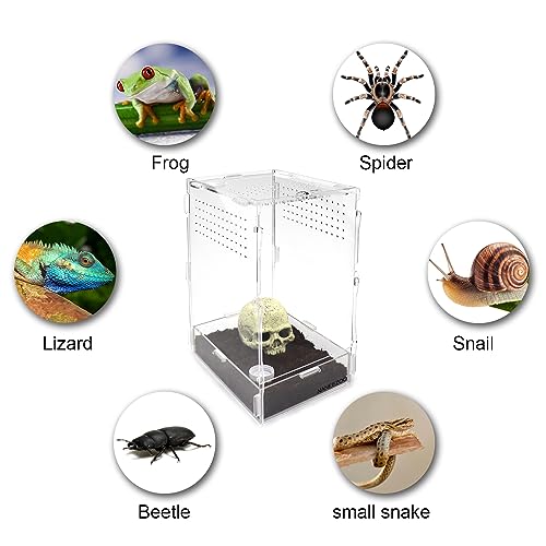 NANEEZOO Micro Habitat Terrariums with Locking Latch, 8x6x12 Inches Acrylic Reptile Tank with Water-tight Base, Arboreal Enclosure for Tarantula Jumping Spiders Small Tree Dwelling Reptiles (Arboreal)