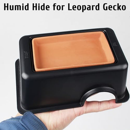 Hamiledyi Reptile Plants Bendable Jungle Climbing Vine Terrarium Branch and 4 Pcs Humid Hide for Leopard Gecko Moist Reptile Hide Box for Bearded Dragon Lizard Gecko Frog Snake