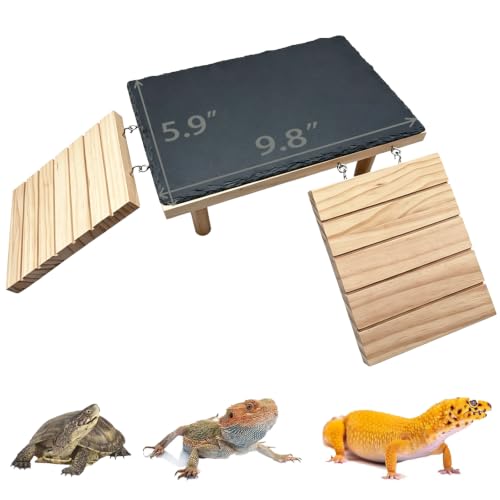 Bearded Dragon Platform Wooden Reptile Hideout Cave Climbing Tank Accessories with Reptile Basking Rock for Leopard Gecko Lizard Tortoise (Small, 9.8 × 5.9 Inches) - size: Small