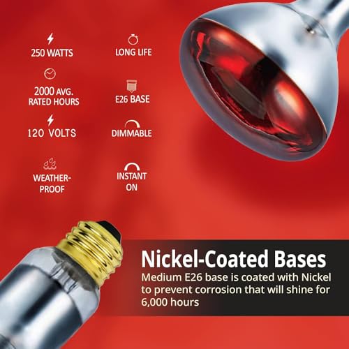250 Watts R40 Red Heat lamp Light Bulbs Infrared Flood Reflector Incandescent Spotlight for Food Service, Brooder Bulb, Chicken, Pet, Bathroom, Light Therapy 250R40/HR Medium E26 Base 1 Pack - style: 250W/R40/RED/1PK