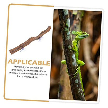 BESTonZON Wooden Tree Branch Reptile Accessory for Bearded Dragons Chameleons and Geckos Natural Climbing Rack for Relief and Exercise Terrarium Decoration