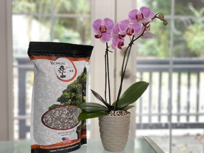 Bonsai Soil by The Bonsai Supply – 2qts. Professional Bonsai Soil Micro Mix | Ready to use| Great for All Bonsai Tree Varieties. - size: 2 Quarts Micro Mix / Shohin