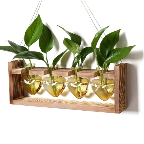 Plant Propagation Stations Heart Plant Terrarium Kit Gift for Women Plant Lover Glass Vases - color: Gold