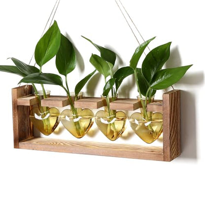 Plant Propagation Stations Heart Plant Terrarium Kit Gift for Women Plant Lover Glass Vases - color: Gold