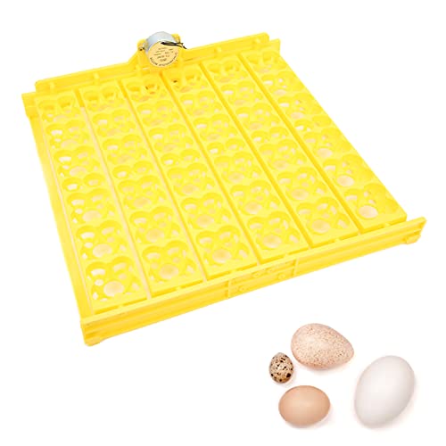 Egg Incubator Tray, Hollow Four Leaf Fancy Automatic Egg Turning Tray, Egg Turner for Survivors, Small Commercial Farmers, Chicken Duck Quail (110V) - size: 110V