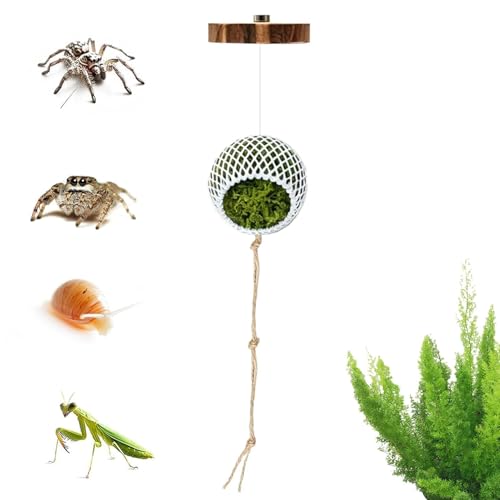 Jumping Spider Climbing Decor Vine - Imitation Rope Cage Accessory | Interactive Terrarium Decoration Toy for Spider Enclosure Reptile Habitat Snake Frog Turtle Use - color: White