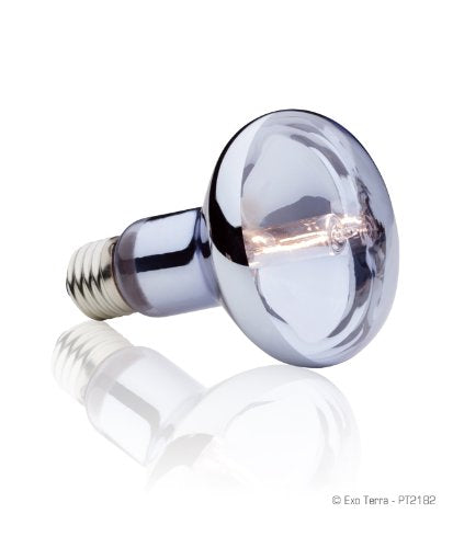 Exo Terra Sun Glo Halogen Basking Spot Lamp – 75W Reptile Light Bulb, Broad Spectrum Daylight, Enhances Coloration, Promotes Health, PT2182 - size: 75 Watts