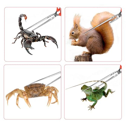 15 Inch Snake Feeding Tongs, Reptile Feeding Tongs,Snake Grabber Tool Stick Reptile Tongs for Lizard Reptiles,Snakes,Tank Accessories Terrarium Supplies (Straight Head)