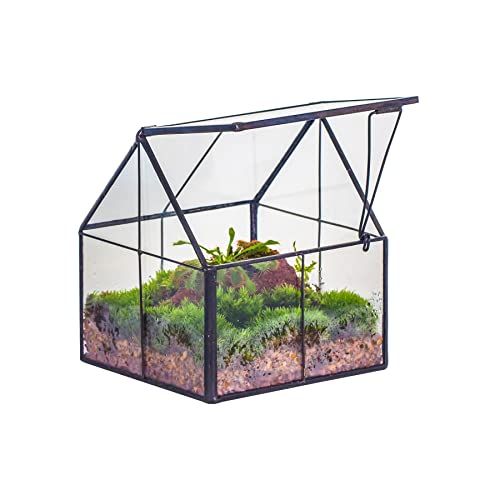NCYP Mini Glass Terrarium with Lid - 4.25" x 4.25" x 4.92" House Shape Close Geometric Planter Pot for Mini Succulents Plant, Moss - Handmade, Home Garden Office Decor, Black (Terrarium Only) - size: 4.25x4.25x4.92 inches