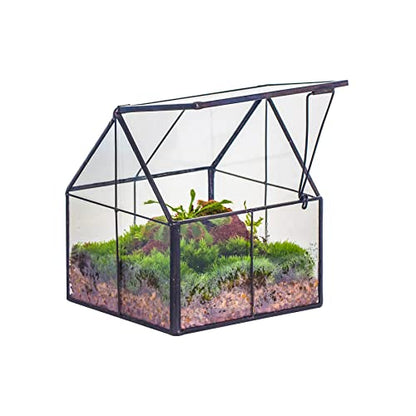 NCYP Mini Glass Terrarium with Lid - 4.25" x 4.25" x 4.92" House Shape Close Geometric Planter Pot for Mini Succulents Plant, Moss - Handmade, Home Garden Office Decor, Black (Terrarium Only) - size: 4.25x4.25x4.92 inches