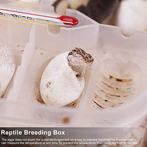 12 Grids Reptiles Eggs Incubator Tray, Amphibians Hatchery Box with Thermometer, Reptile Breeding Box, Incubation Box for Hatching Snake Lizards Turtle Gecko Egg
