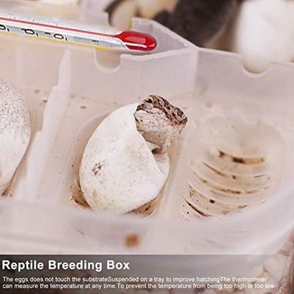 12 Grids Reptiles Eggs Incubator Tray, Amphibians Hatchery Box with Thermometer, Reptile Breeding Box, Incubation Box for Hatching Snake Lizards Turtle Gecko Egg