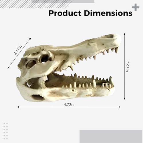 Dinosaur Skull Resin Ornament for Reptile Tanks and Aquariums, Simulated Bone Design, Hiding Cave for Snakes, Lizards, and Spiders, Terrarium Decoration, 4.7 x 2.2 x 3 in