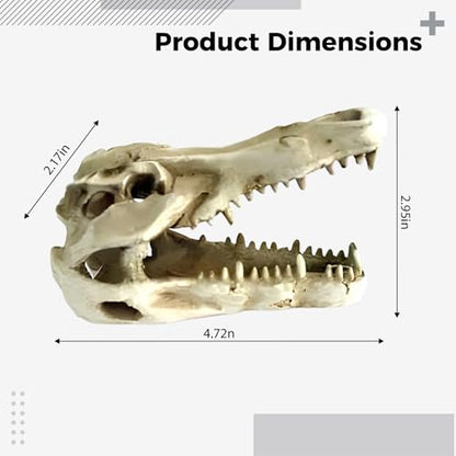 Dinosaur Skull Resin Ornament for Reptile Tanks and Aquariums, Simulated Bone Design, Hiding Cave for Snakes, Lizards, and Spiders, Terrarium Decoration, 4.7 x 2.2 x 3 in