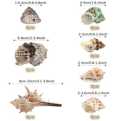QUOZUO Hermit Crab Shells Natural Coconut Shell Hut Artificial Plants, 22 PCS Hermit Crab Supplies Seashells for House Hermit Crab Tank Habitat