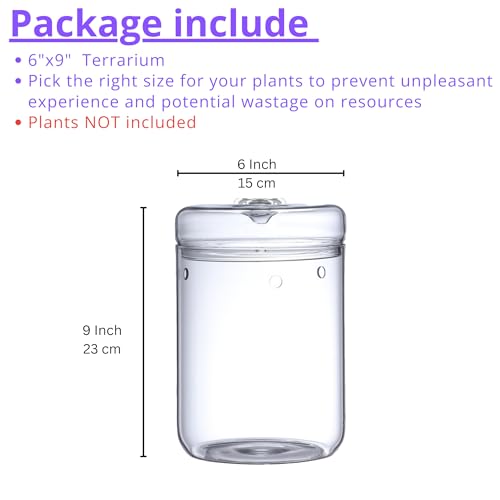 LaLaGreen Indoor Planter (6x9 Inch) Small Glass Terrarium Jar with Lid for Succulent Plants, Reptile Cactus Mini Fern Fairy Moss Tabletop Decoration Container Pot Kitchen Office Home Garden Decor