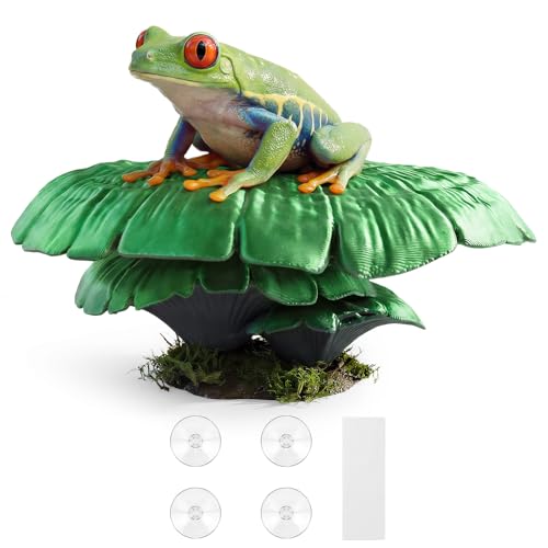 Mushroom Reptile Ledge| Tree Frog Terrarium Tank Accessories, Crested Gecko Tank Accessories, Frog Habitats, Fish Tank Decor| Terrarium Plants Decor from Daughter| 4 Suction Cups - color: Forest Green+suction Cup