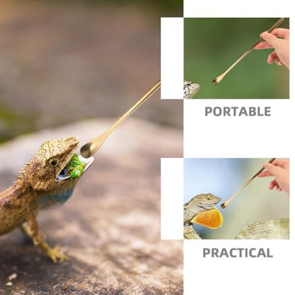 Housoutil 3pcs Reptile Feeding Spoon Handle Lizard Food Scoop for Bearded Dragons Geckos More Easy to Use for Pet Owners Gold - color: As Shown 3