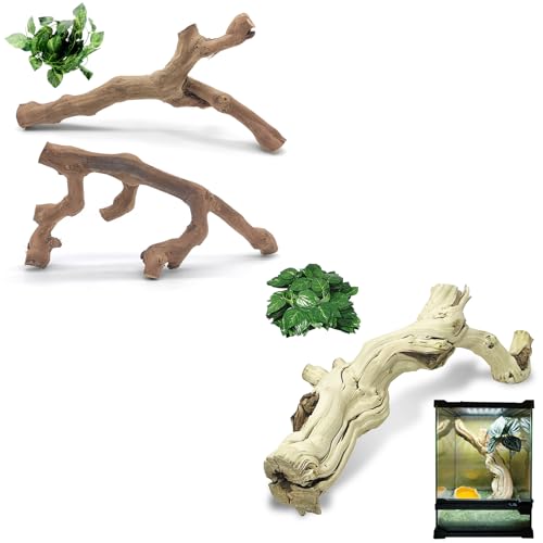 VCEPJH Snake Climbing Branch, 2Pcs Reptile Wood Natural Cork Log and Large Snake Climbing Branch Decor 15.5 in Natural for Chameleon Gecko Ball Python Frog
