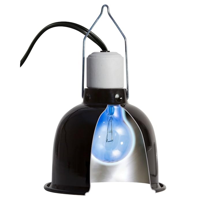 Zoo Med Daylight Blue Reptile Bulb, 25 Watts