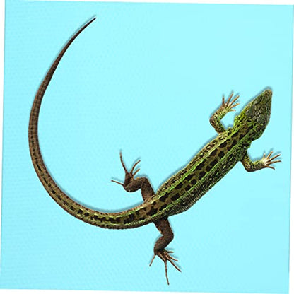 BESPORTBLE Leopard Print Reptile Carpet Bearded Dragon Gecko Snake Tank Mats Eva Material Terrarium Liner Pet Supplies - color: Sky-blue