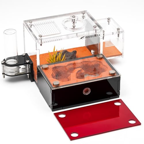 Terra Core Series S Ant Nest Starter Kit for Beginner Ant Keeping 5.9 x 4.52 x 3.54 in - size: Terra Core Series-S