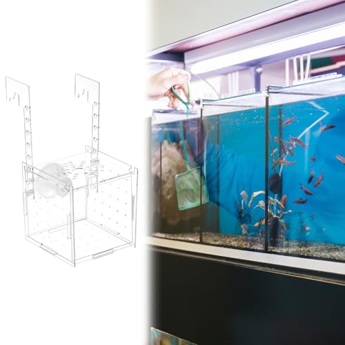 QWORK Acrylic Fish Breeding Isolation Box - Transparent Aquarium Incubator for Small Fishes Shrimp Clownfish Guppy, 3.9-inch