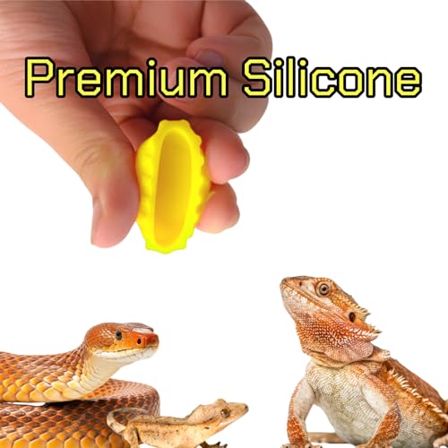 hhfvvda12 PCS Reptile Feeding Cup, Colorful Crested Gecko Food Bowl, Snake Water Dish, Bearded Dragon Terrarium Accessories
