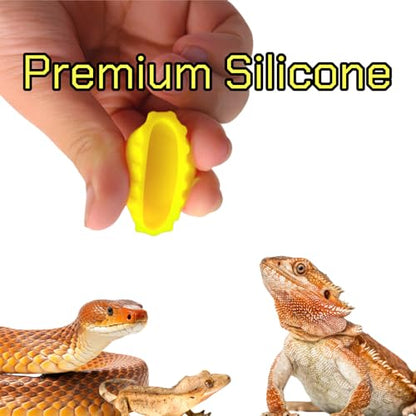 hhfvvda12 PCS Reptile Feeding Cup, Colorful Crested Gecko Food Bowl, Snake Water Dish, Bearded Dragon Terrarium Accessories