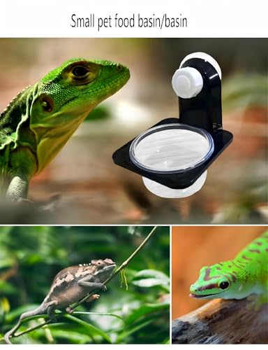 Double Crested Gecko Feeding Ledge with 10 Pcs 0.5oz Bowls & Detachable Suction Cup – Reptile Food & Water Dish Feeder for Lizards, Geckos, Chameleons, Turtles in Terrariums & Breeding Tanks