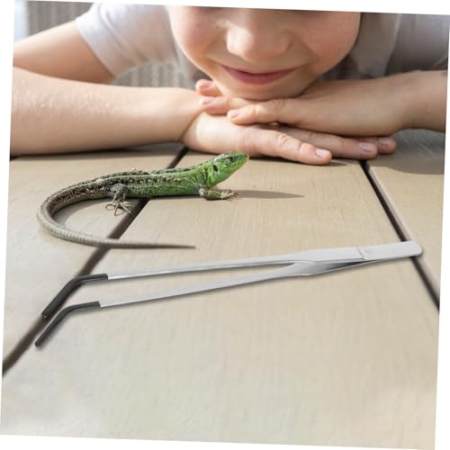 ORFOFE 2pcs Curved Aquarium Tweezers Stainless Steel Reptiles Feeder Rubber Tips Tongs For Snake Turtle Pet Lizard Feeding Supplies