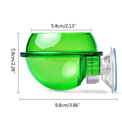 Suction Cup Reptiles Feeder Bowl Anti-Escape Food Bowl Drinker Bowl for Tortoise Iguana