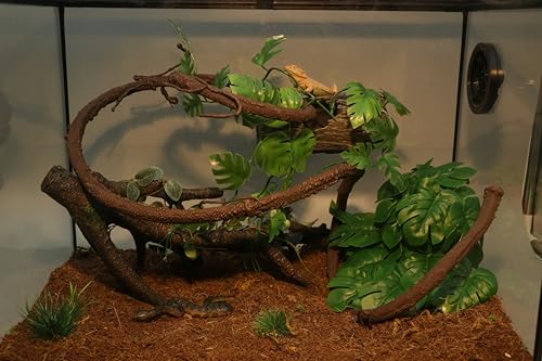 AQUA KT Reptile Twist Climber Flexible Climbing Vine Rain Forest Terrarium Branch for Leopard Gecko Lizard Snake Terrarium Amphibian Decoration