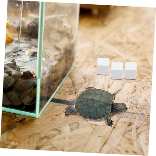12pcs Crab Mineral Block Natural Reptile Calcium Blocks Grinding Aid for Reptiles Tortoises Lizards and Frogs Chemical- Healthy Habitat Accessories