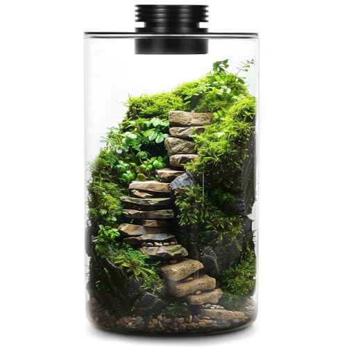 Desktop Glass Plant Terrarium with Grow Light 10 X 6IN - Planter for Succulent Moss Miniature Gardening Landscape, Fish Tank Indoor Plant Growth Office Home Decoration Plant Lovers Gifts