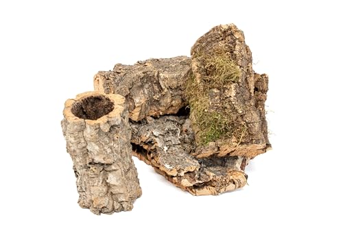 Assorted Virgin Cork Bark for Orchids, Reptiles & Terrariums – Natural Orchid Mounts, Vivarium Décor, Tarantula & Gecko Hides (8ounce) - style: 8 oz MIXED CORK 8 OZ