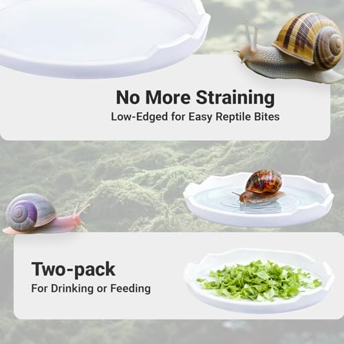 2 Pack Snail Food and Water Bowl，atural Design Food Bowl for Pet Snails, Garden Snails Pet Land Snail Supplies(White) - color: white
