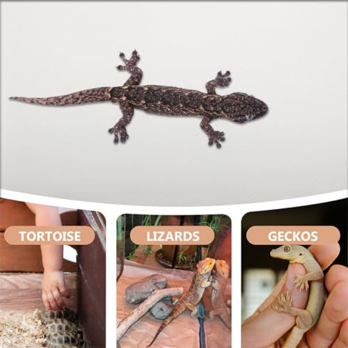 Mikikit Reptile Carpet Substrate Mat for Leopard Gecko Lizard Snake Turtle Natural Terrarium Bedding Easy to Clean for Reptile Tanks