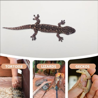 Mikikit Reptile Carpet Substrate Mat for Leopard Gecko Lizard Snake Turtle Natural Terrarium Bedding Easy to Clean for Reptile Tanks