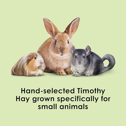 Kaytee Timothy Hay, High Fiber, Grown Specifically for Small Animals, Rabbits, Guinea Pigs, Chinchillas, Ideal Bulk Order for Small Pets, 6 Pounds - size: 6 Pound (Pack of 1)