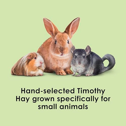 Kaytee Timothy Hay, High Fiber, Grown Specifically for Small Animals, Rabbits, Guinea Pigs, Chinchillas, Ideal Bulk Order for Small Pets, 6 Pounds - size: 6 Pound (Pack of 1)