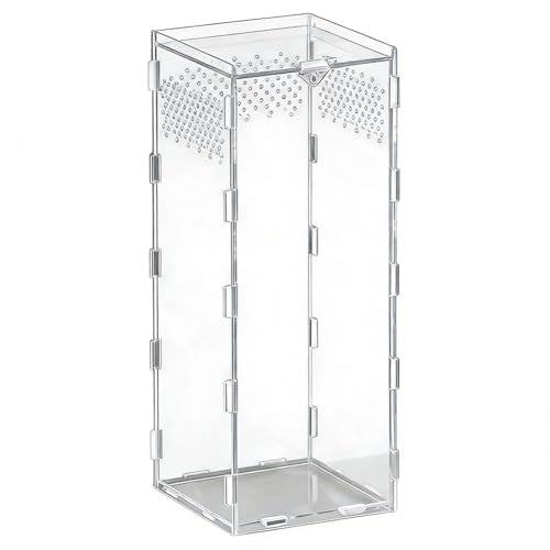  Acrylic Reptile Terrarium,Escape Proof Reptile Tank,Transparent Habitat with Ventilation Holes,for Tarantulas,Spiders,Lizards,Frogs - Easy Snap Assembly,Easy to Clean & Observe(25 * 15 * 15cm)
