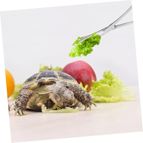 VICASKY Stainless Steel Reptile Feeding Tongs Long Tweezers Clamp for Snakes Lizards and Aquatic Plants Ergonomic Aquarium Feeding Tool for Bearded Dragons and Geckos