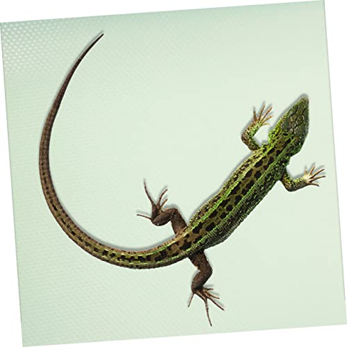 POPETPOP Reptile Carpet Terrarium Substrate Liner Large Eva Material Snake Gecko Bearded Dragon - color: Light Green