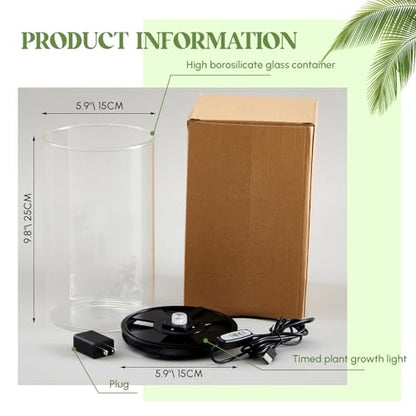 Maxdot Glass Plant Terrarium Kit with LED Grow Light, Desk Terrarium for Venus Fly Trap, Succulents, Moss & Miniature Garden, Borosilicate Glass Desktop Planter for Home Office(9.8 x 5.9 Inch) - size: 9.8 x 5.9 Inch