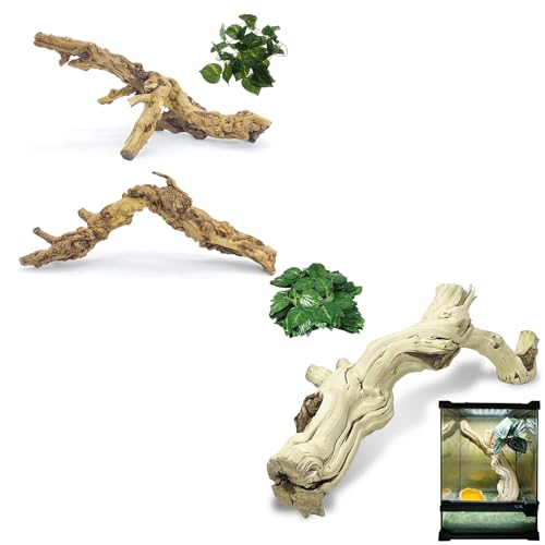 VCEPJH 2 Pack Reptile Wood Branches, Snake Climbing Branch Natural Bearded Dragon Log and Large Snake Climbing Branch Decor 15.5 in Natural for Chameleon Gecko Ball Python Frog