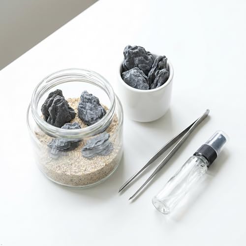 Kai Dream Miniature Stones for Terrarium - Tree Bark Diorama Rocks for Miniature Terrain Display - Lightweight Reptile Habitat Decor - NOT for Aquarium Underwater Use - 24Pcs Slate Stone (1-2 inch)“ - style: 24P Wooden Slate Rocks