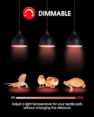 Flaspar 100W Reptile RED Heat Lamp Bulbs, Reptile & Amphibian Basking Spot Light Bulbs for Chickens Coop Pets Brooder Bearded Dragon Lizard Tortoise Use, Pack of 2 - color: Red