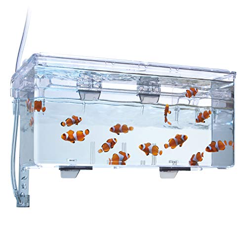 Fluval Multi-Chamber Holding and Breeding Box, Large – Up To 3 Separate Housing Compartments - size: Large