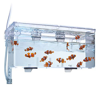 Fluval Multi-Chamber Holding and Breeding Box, Large – Up To 3 Separate Housing Compartments - size: Large
